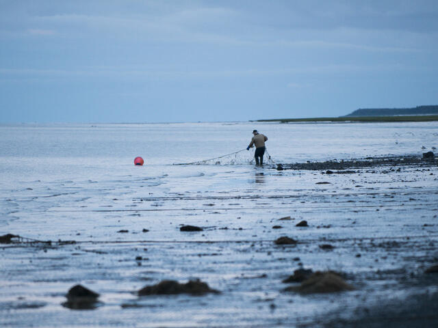 Man fishing in Bristol Bay