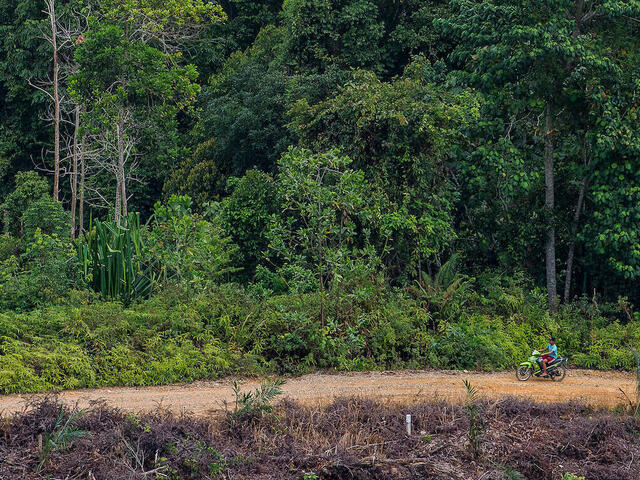 Man on a motorbike on a road that divides the farmed land from the nature reserve.