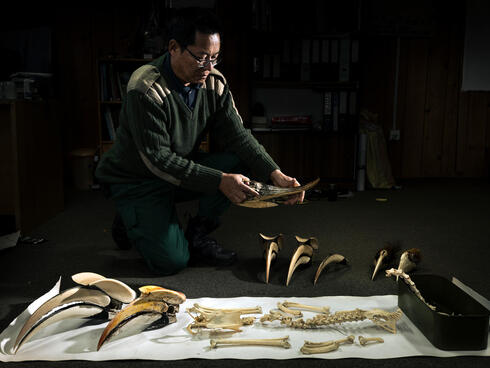 A mean kneels over, examining animal bones