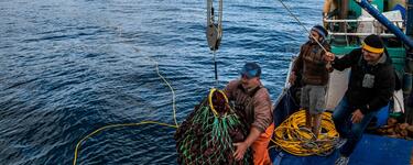 Aerial view of Captain Manuel Vidal as he pulls a net of seaweed on to the boat with help from H