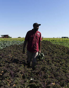 Matthew Robinson stands in a field
