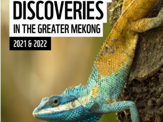 Image of a turquoise and brown lizard with title text
