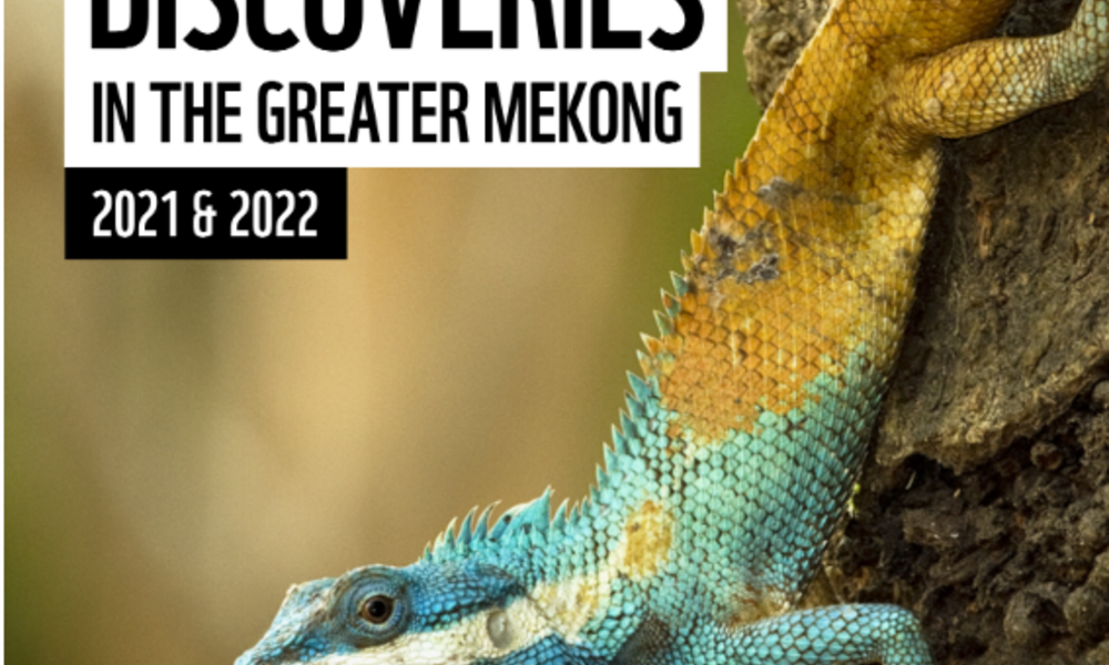 WWF report highlights 380 new species discoveries in the Greater Mekong region | Press Releases - Vimarsana News