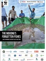 The Mekong's Forgotten Fishes Brochure