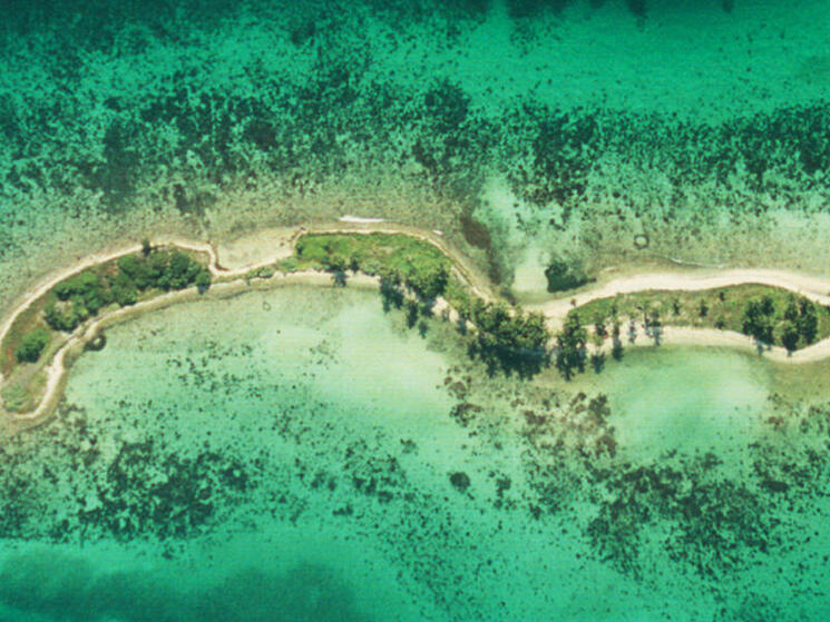 Laughing Bird Caye National Park