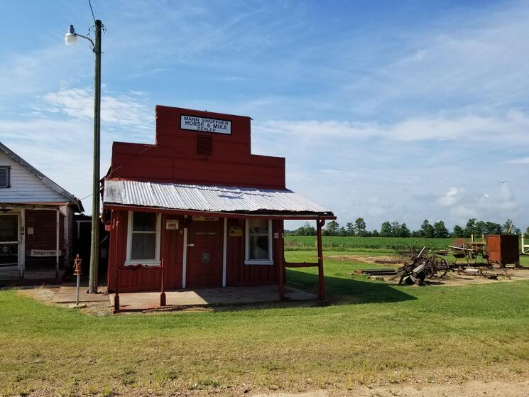 A shop with a sign reading, "Horse and Mule Dealer"