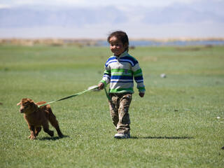 A young child walking a goat on a leash across a grassy landscape