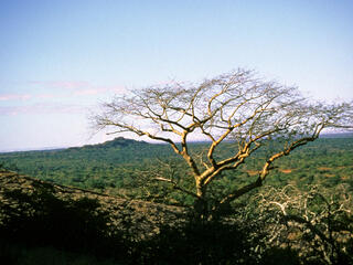 Mozambiquec 