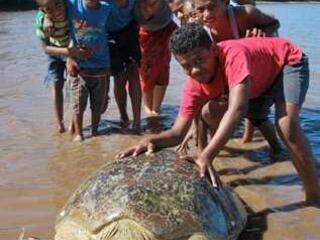 Josua Muakula and a marine turtle