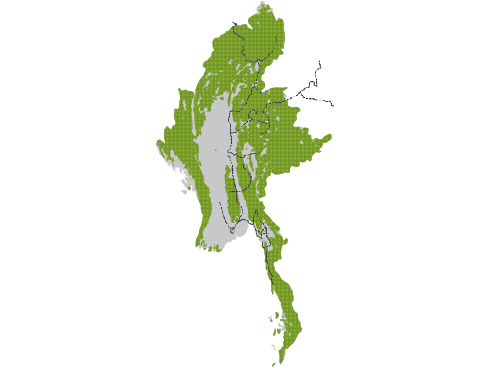 Map of Myanmar forests and roads