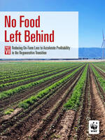 No Food Left Behind, Part 7: Reducing On-Farm Loss to Accelerate Profitability in the Regenerative Transition Brochure