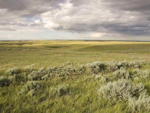 Expansive Norther Great Plains landscape