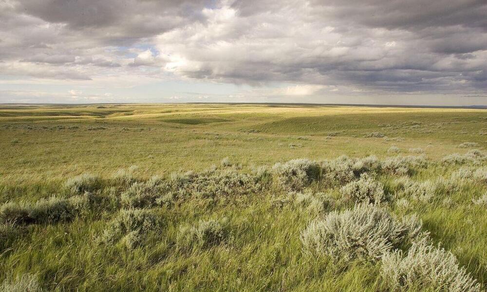 The Great Plains | Places | WWF