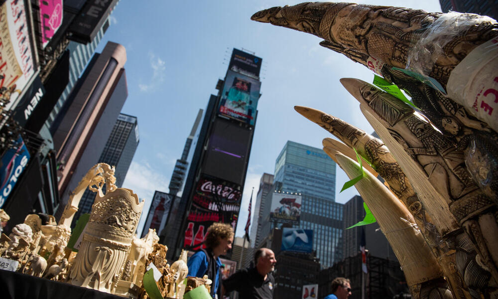 Ivory carvings in New York City's Times Square. 