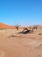 Namib Desert