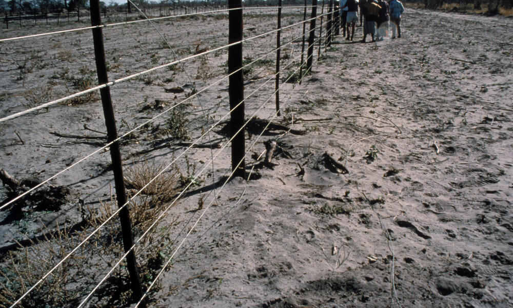Namibia Elephant Fence