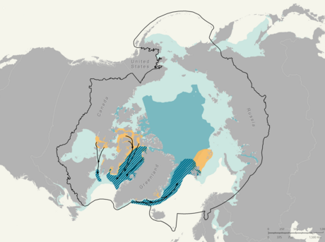 Map of narwhal populations