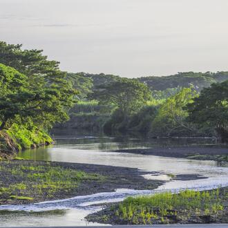 View of Nasivie River in Viti Leu, Fiji