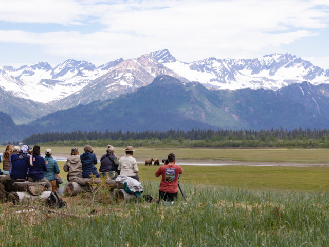 Nat Hab travelers viewing bears in Alaska