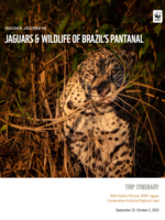 National Council: WWF Brazil 2023 Itinerary Brochure