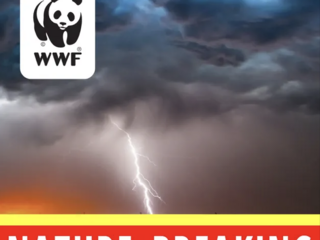 A stormy sky with the WWF logo and the podcast title in red and white. 
