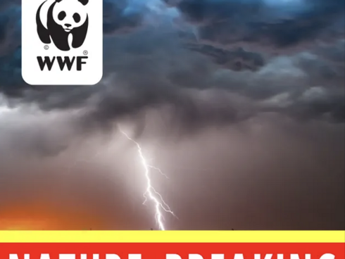 A stormy sky with the WWF logo and the podcast title in red and white. 