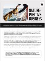 Nature-Positive Business Brochure