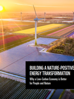 Building a Nature-Positive Energy Transformation Brochure