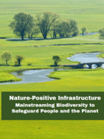 Nature-Positive Infrastructure: Mainstreaming Biodiversity to Safeguard People and the Planet Brochure
