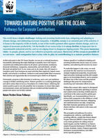 Executive Summary: Nature-Positive Ocean Pathways Report