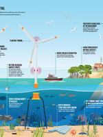 Infographic: Private Sector Contributions to a Nature-Positive Future for the Ocean Brochure