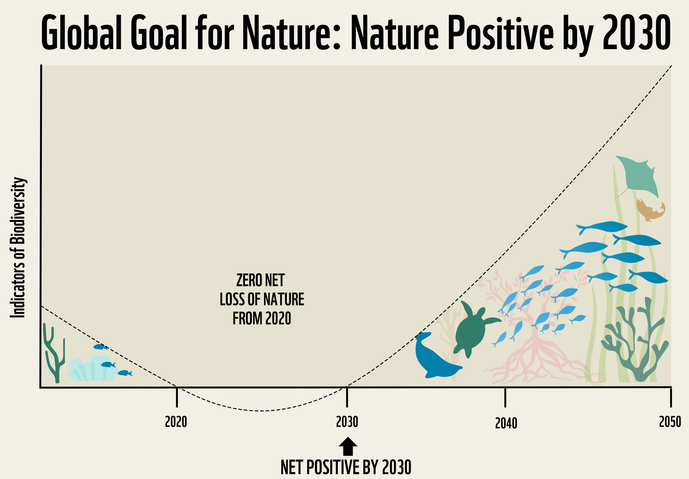 Nature Positive by 2030 graph