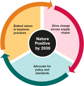 Figure illustrating how we can become nature positive by 2030: embed nature in business practices; drive change across supply chains; advocate for policy and standards