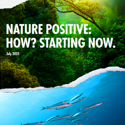 Cover of the 'Nature Positive: How? Starting Now.' publication