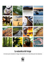 The Nature of Risk: A Framework for Understanding Nature-related Risk to Business (Spanish) Brochure