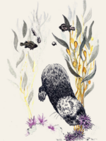 Nature's Technicians: The amazing ways in which wild animals maintain our world Brochure