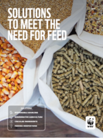 Solutions to Meet the Need for Feed Brochure