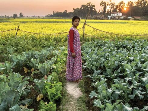 Nepalese woman standing in her vegetable field.