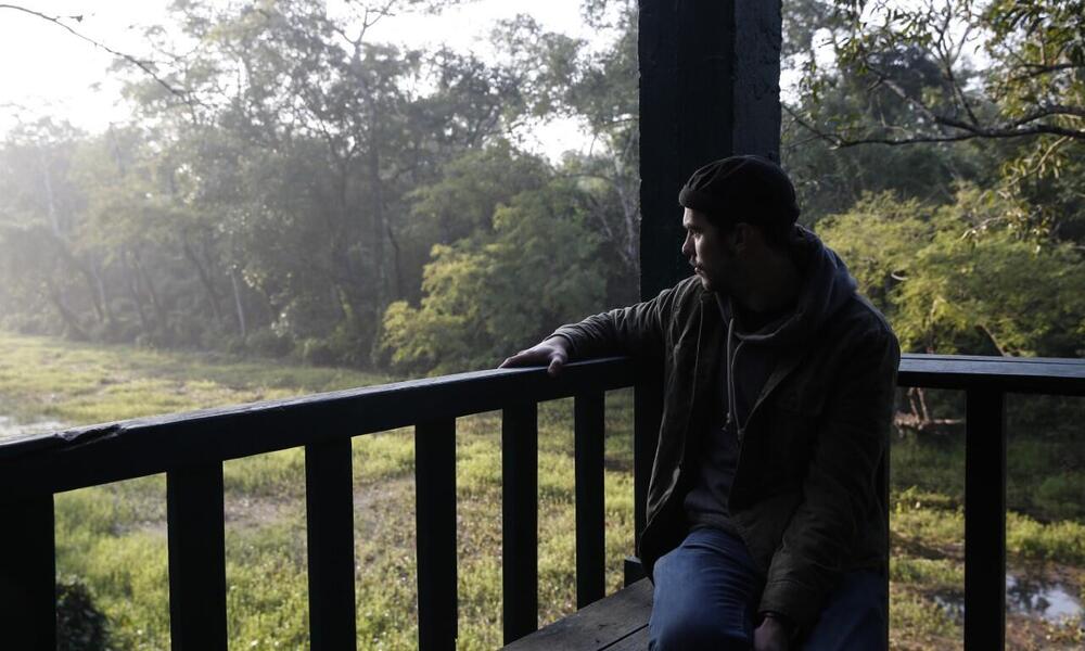 Nicholas Hoult gazes upon a greater one-horned rhino grazing in the wetlands