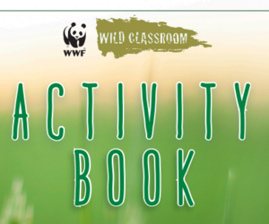 Grasslands and Pollinators Activity Book