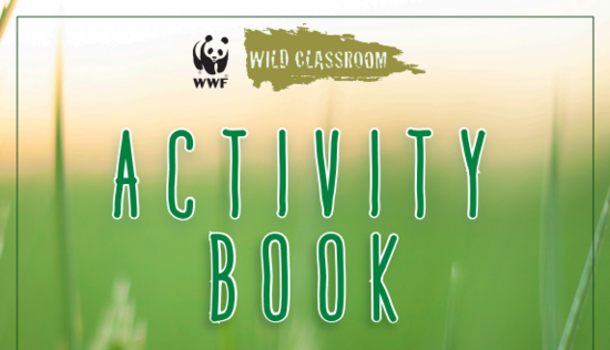 Grasslands and Pollinators Activity Book
