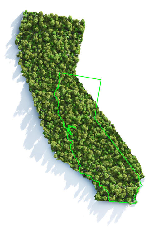 Trees in the shape of the state of California