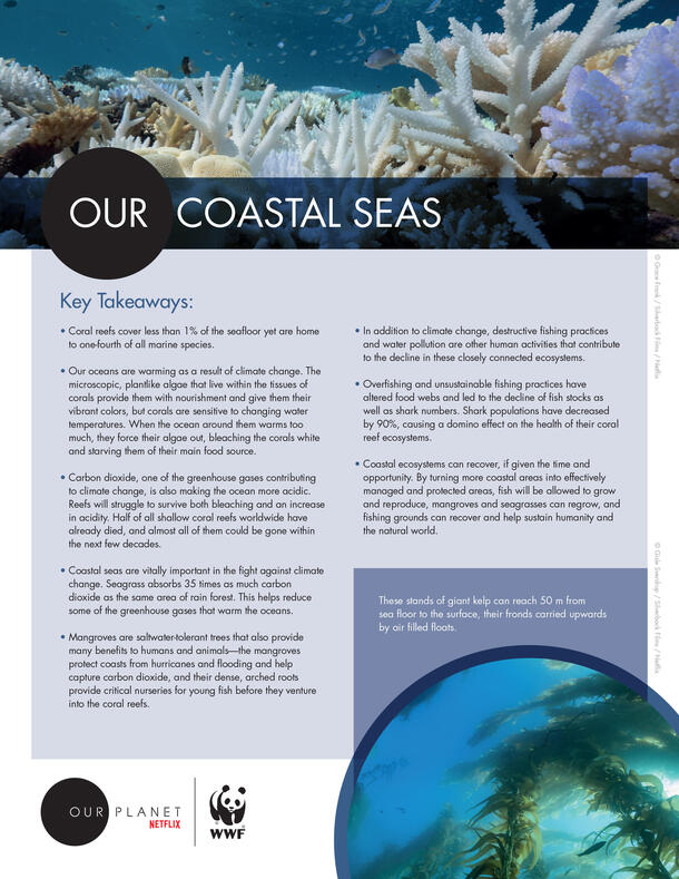 Our Planet Educator Guides | Educators Toolkits | WWF