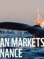 Ocean Markets and Finance Brochure