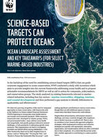 Ocean Landscape Analysis 1pg Brochure
