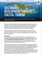 Ocean Markets: Coastal Development Brochure