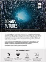 Oceans Futures Brochure