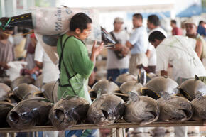 Overfishing and Eumatric fishing