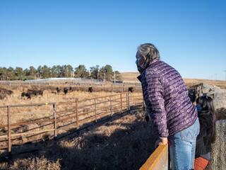 Wide shot of two people standing on a fencing overlooking a herd of bison grazing