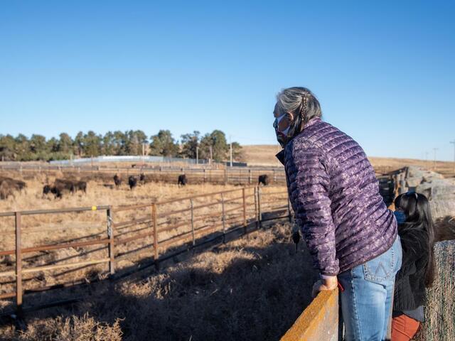 Wide shot of two people standing on a fencing overlooking a herd of bison grazing